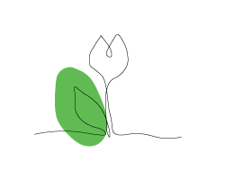 Service-Learning-Projects